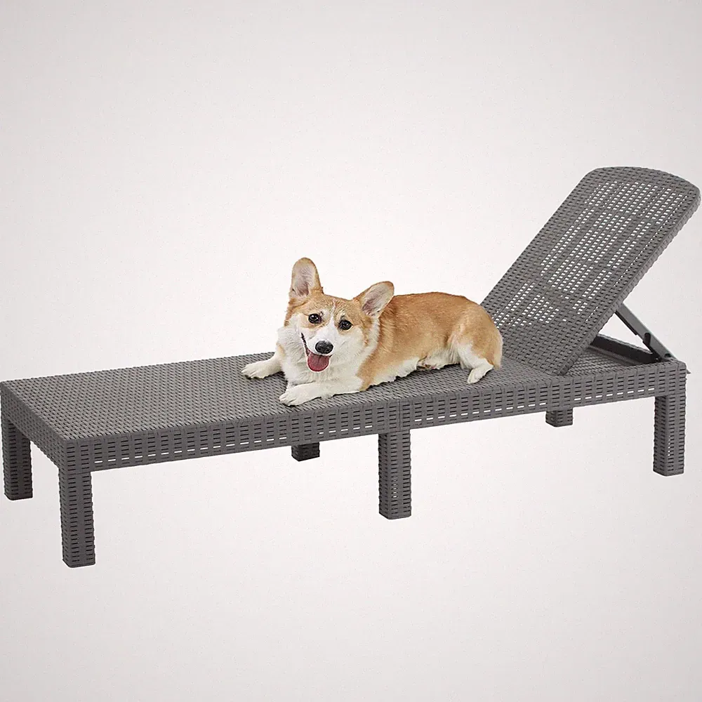 Outdoor Chaise Lounge,Resin Pool Lounge Chair Waterproof Recliner,Gray